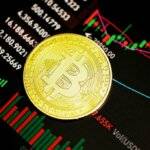 The Ultimate Guide to Secure Your Crypto Wallets